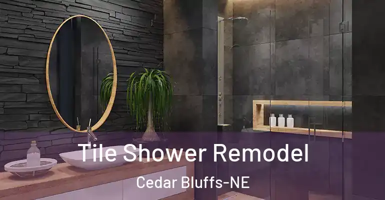 inner Bathroom imggen Tile Shower Remodel Cedar Bluffs-NE