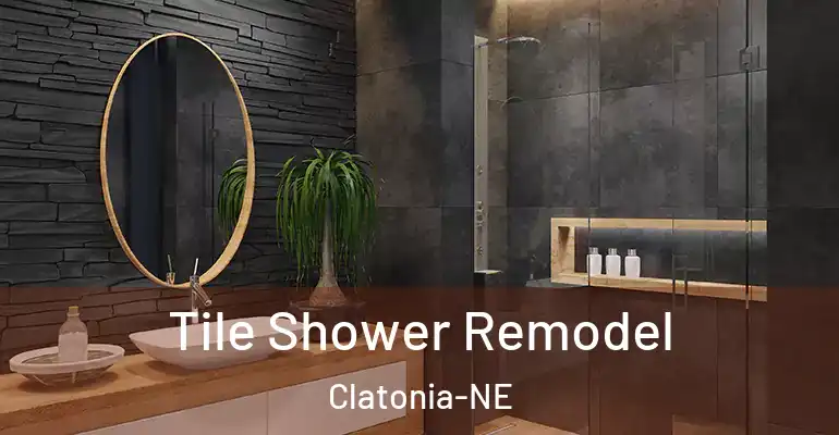 inner Bathroom imggen Tile Shower Remodel Clatonia-NE