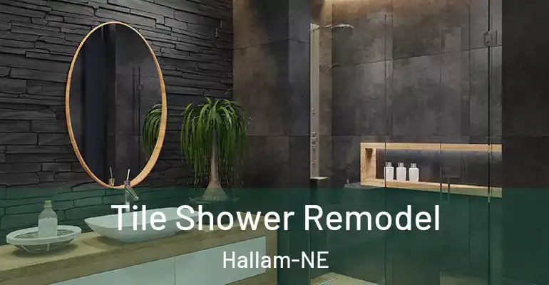 inner Bathroom imggen Tile Shower Remodel Hallam-NE