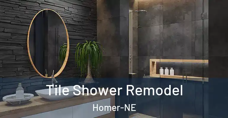 inner Bathroom imggen Tile Shower Remodel Homer-NE