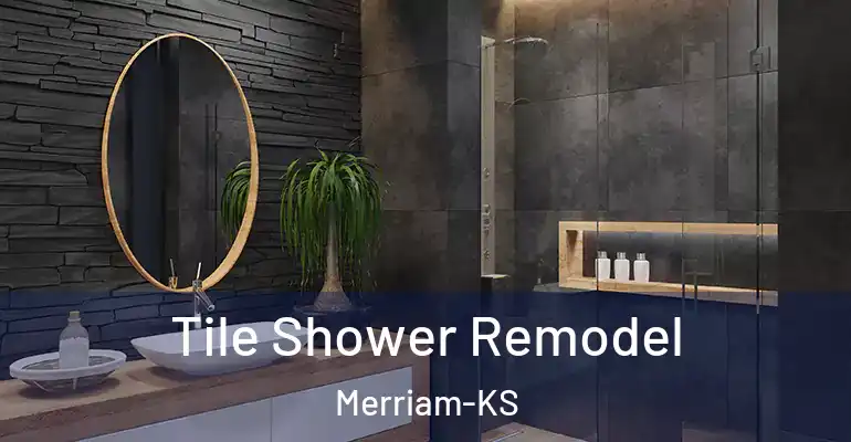 inner Bathroom imggen Tile Shower Remodel Merriam-KS