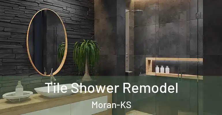 inner Bathroom imggen Tile Shower Remodel Moran-KS