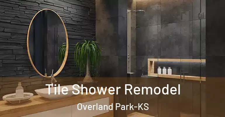 inner Bathroom imggen Tile Shower Remodel Overland Park-KS