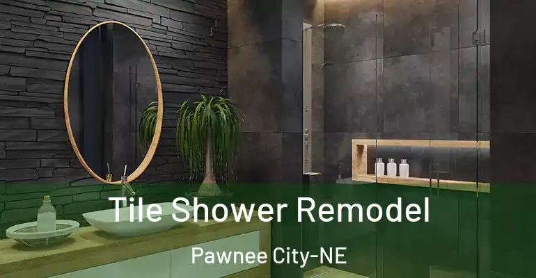 inner Bathroom imggen Tile Shower Remodel Pawnee City-NE