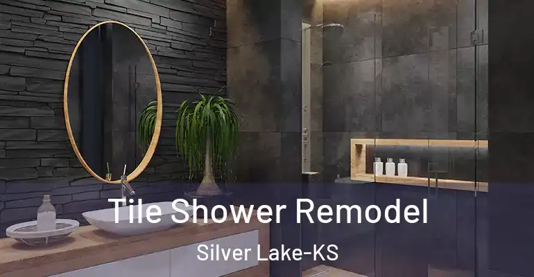 inner Bathroom imggen Tile Shower Remodel Silver Lake-KS