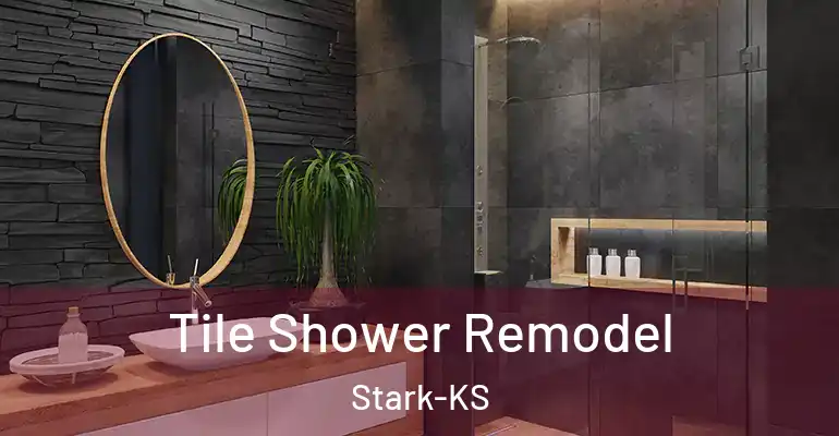 inner Bathroom imggen Tile Shower Remodel Stark-KS