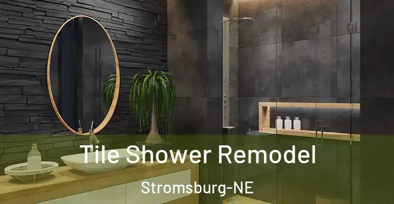 inner Bathroom imggen Tile Shower Remodel Stromsburg-NE