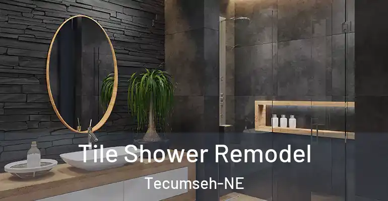 inner Bathroom imggen Tile Shower Remodel Tecumseh-NE