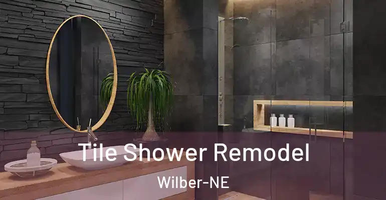 inner Bathroom imggen Tile Shower Remodel Wilber-NE