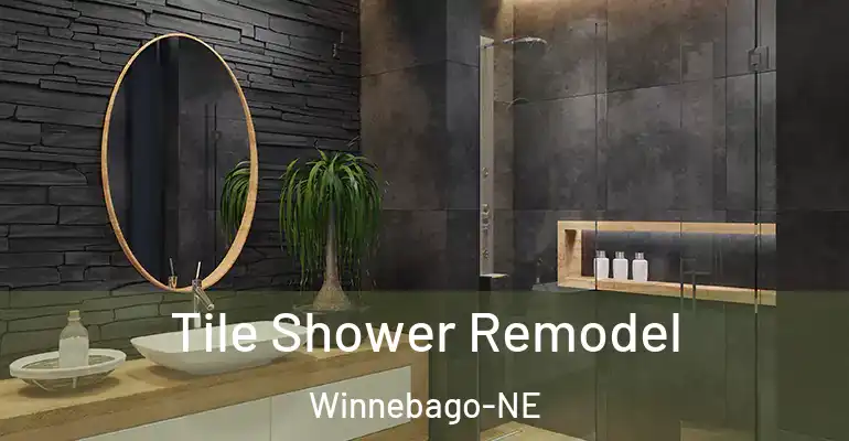 inner Bathroom imggen Tile Shower Remodel Winnebago-NE