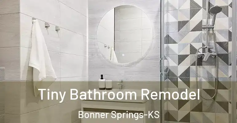 inner Bathroom imggen Tiny Bathroom Remodel Bonner Springs-KS