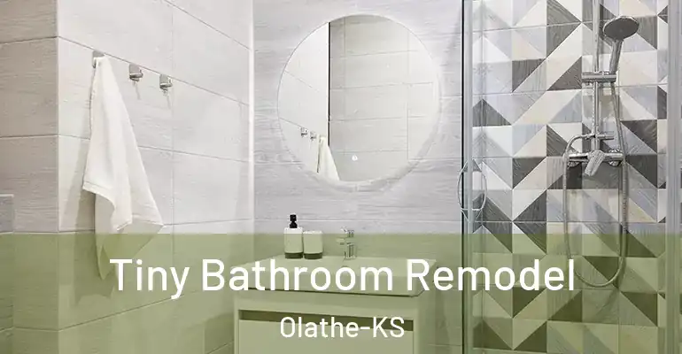 inner Bathroom imggen Tiny Bathroom Remodel Olathe-KS