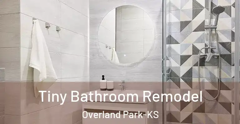 inner Bathroom imggen Tiny Bathroom Remodel Overland Park-KS