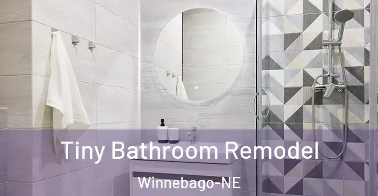 inner Bathroom imggen Tiny Bathroom Remodel Winnebago-NE