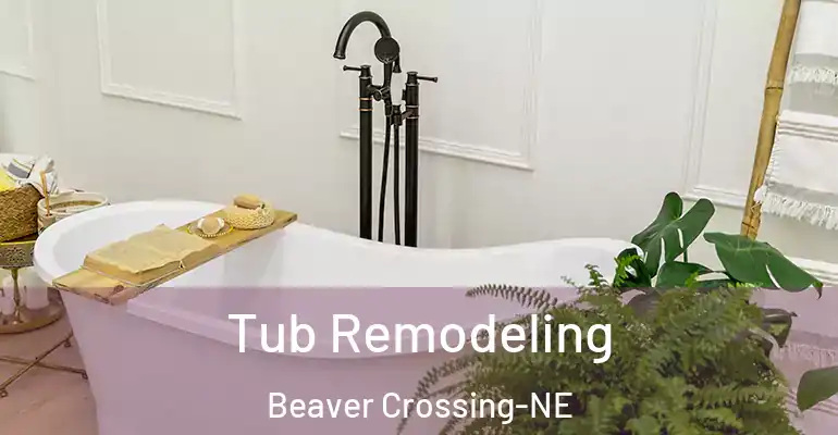 inner Bathroom imggen Tub Remodeling Beaver Crossing-NE