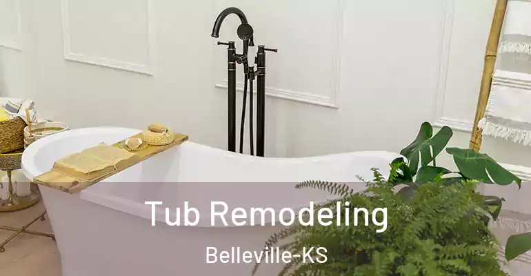 inner Bathroom imggen Tub Remodeling Belleville-KS