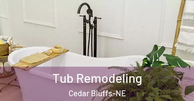 inner Bathroom imggen Tub Remodeling Cedar Bluffs-NE