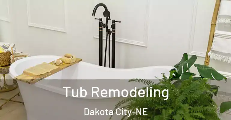 inner Bathroom imggen Tub Remodeling Dakota City-NE