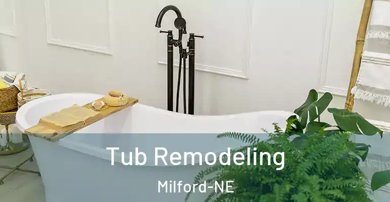 inner Bathroom imggen Tub Remodeling Milford-NE