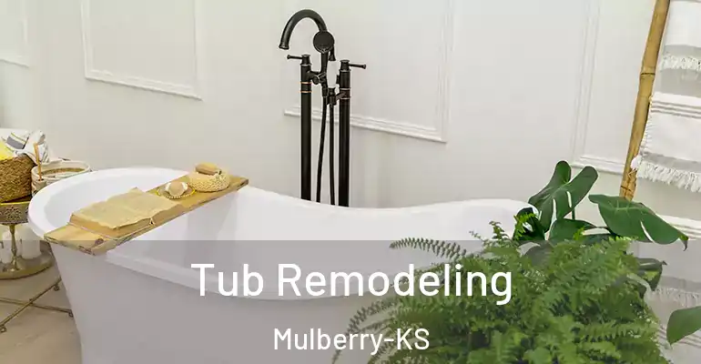 inner Bathroom imggen Tub Remodeling Mulberry-KS