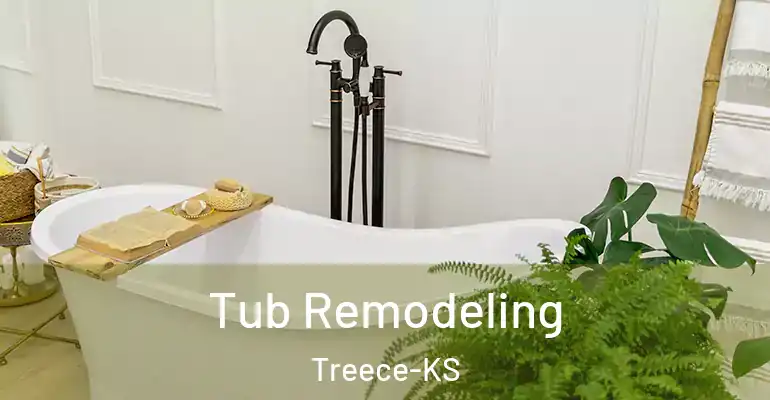 inner Bathroom imggen Tub Remodeling Treece-KS