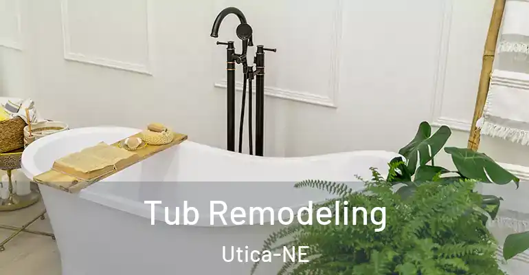 inner Bathroom imggen Tub Remodeling Utica-NE
