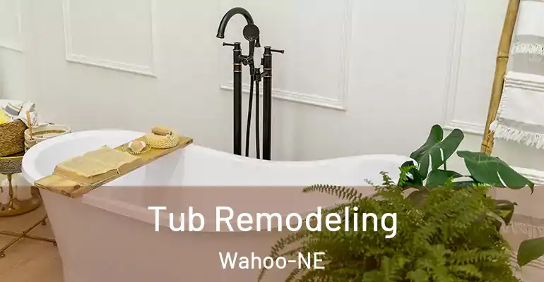 inner Bathroom imggen Tub Remodeling Wahoo-NE