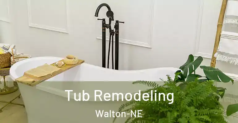 inner Bathroom imggen Tub Remodeling Walton-NE