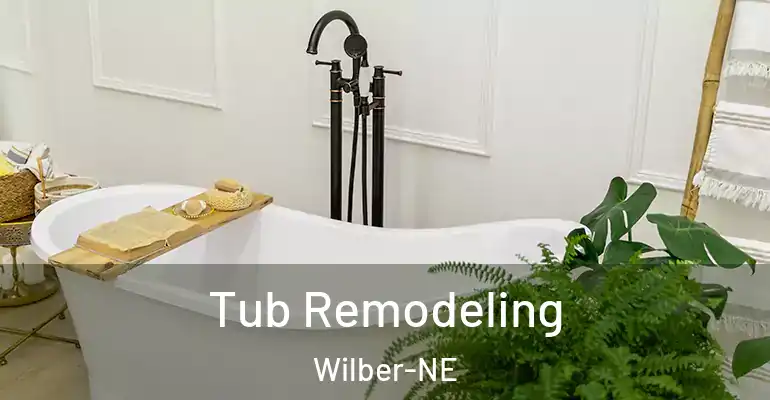 inner Bathroom imggen Tub Remodeling Wilber-NE