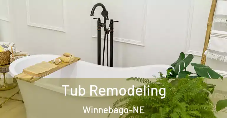 inner Bathroom imggen Tub Remodeling Winnebago-NE