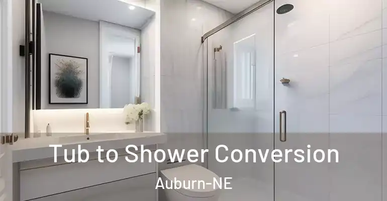 inner Bathroom imggen Tub to Shower Conversion Auburn-NE