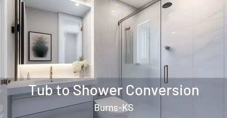 inner Bathroom imggen Tub to Shower Conversion Burns-KS
