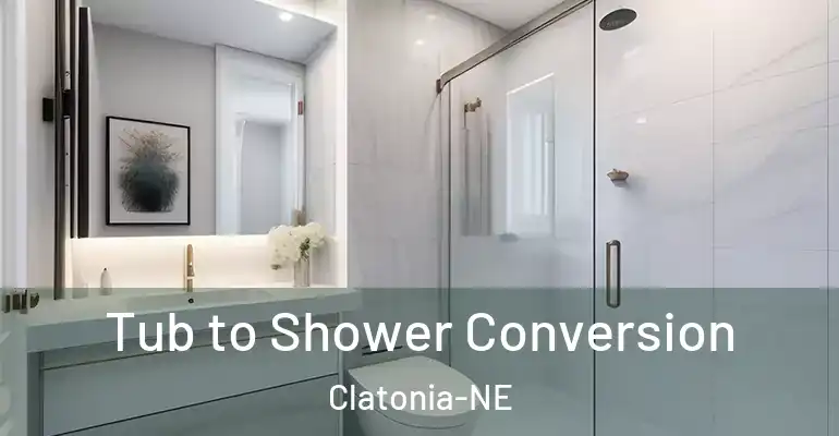 inner Bathroom imggen Tub to Shower Conversion Clatonia-NE