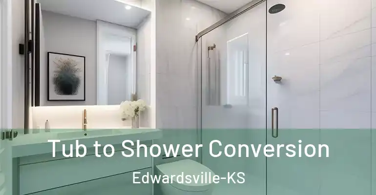 inner Bathroom imggen Tub to Shower Conversion Edwardsville-KS