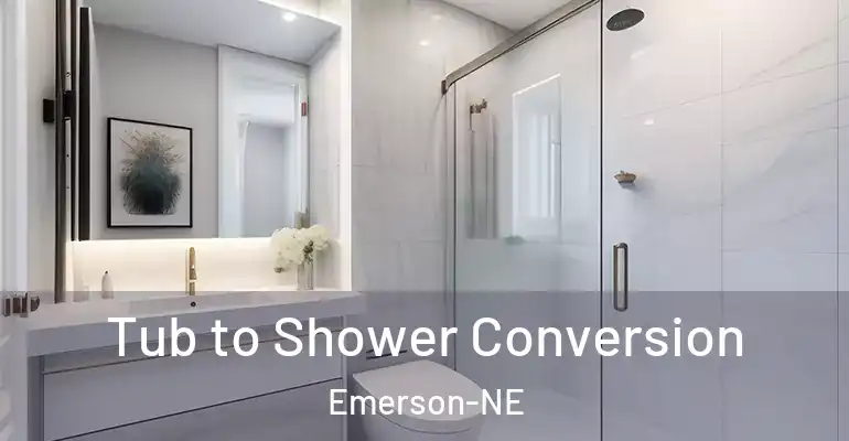 inner Bathroom imggen Tub to Shower Conversion Emerson-NE