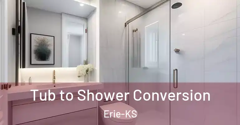 inner Bathroom imggen Tub to Shower Conversion Erie-KS