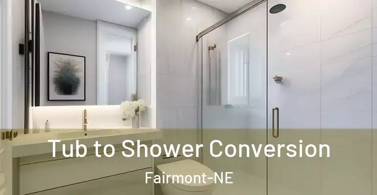 inner Bathroom imggen Tub to Shower Conversion Fairmont-NE