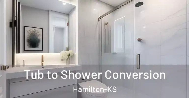 inner Bathroom imggen Tub to Shower Conversion Hamilton-KS