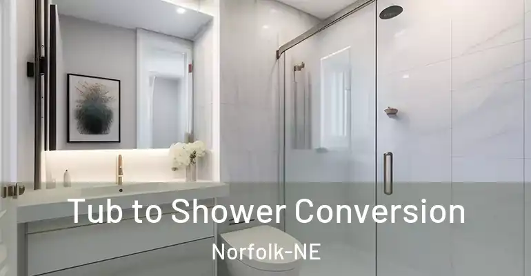 inner Bathroom imggen Tub to Shower Conversion Norfolk-NE