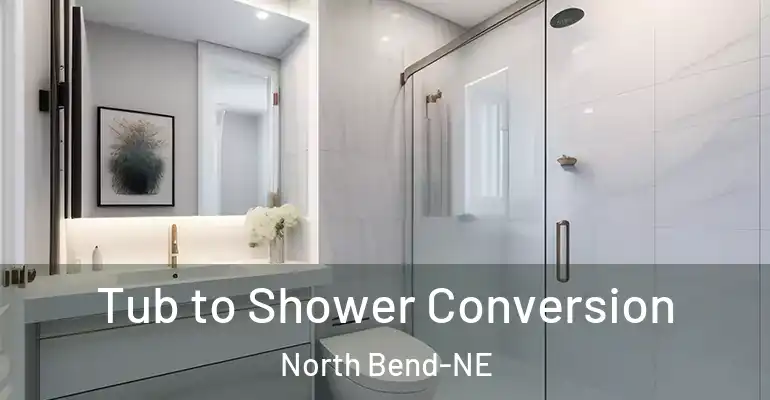 inner Bathroom imggen Tub to Shower Conversion North Bend-NE