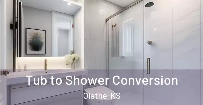 inner Bathroom imggen Tub to Shower Conversion Olathe-KS