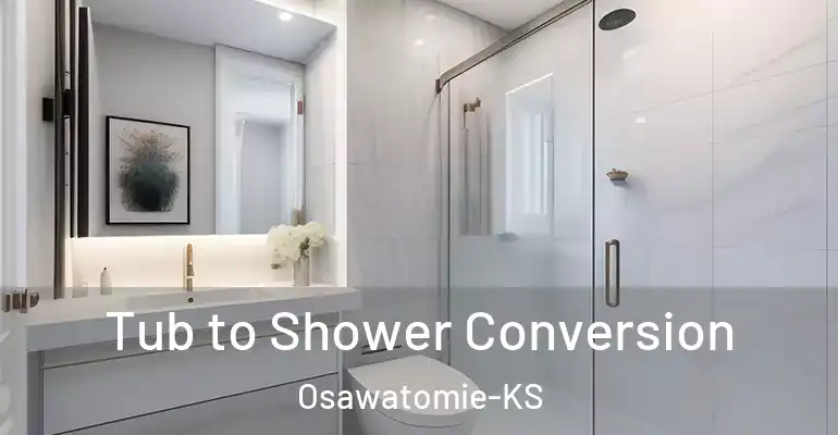 inner Bathroom imggen Tub to Shower Conversion Osawatomie-KS