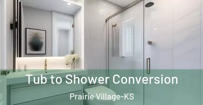 inner Bathroom imggen Tub to Shower Conversion Prairie Village-KS