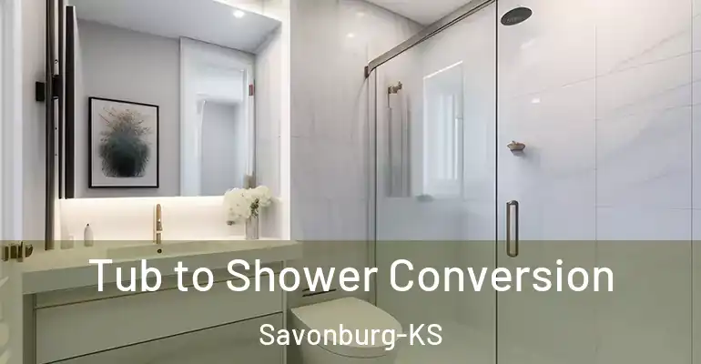 inner Bathroom imggen Tub to Shower Conversion Savonburg-KS