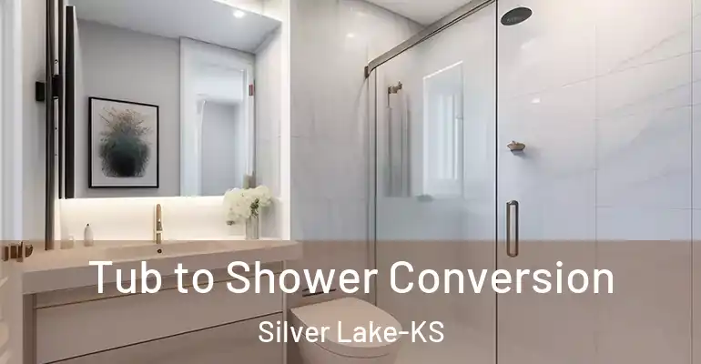 inner Bathroom imggen Tub to Shower Conversion Silver Lake-KS