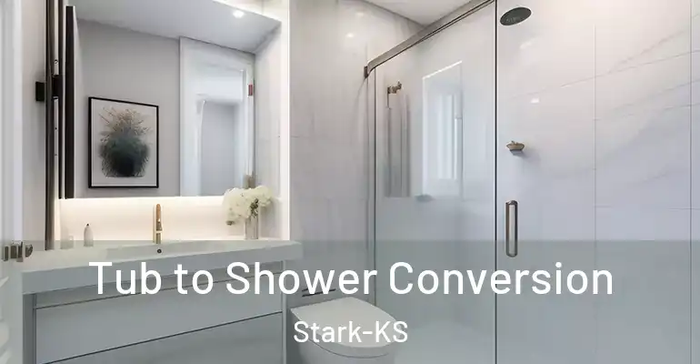 inner Bathroom imggen Tub to Shower Conversion Stark-KS