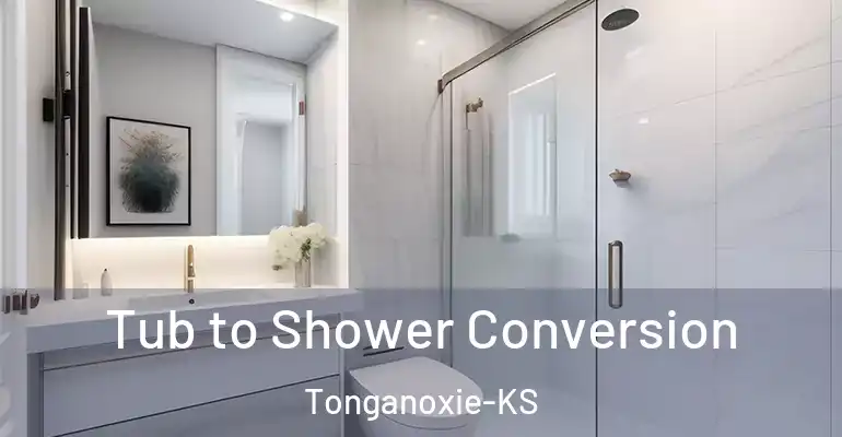 inner Bathroom imggen Tub to Shower Conversion Tonganoxie-KS