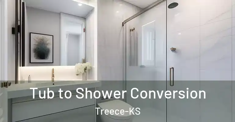 inner Bathroom imggen Tub to Shower Conversion Treece-KS