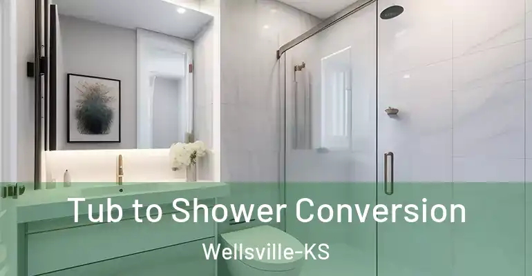 inner Bathroom imggen Tub to Shower Conversion Wellsville-KS