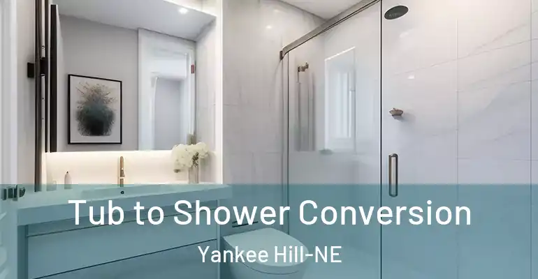 inner Bathroom imggen Tub to Shower Conversion Yankee Hill-NE